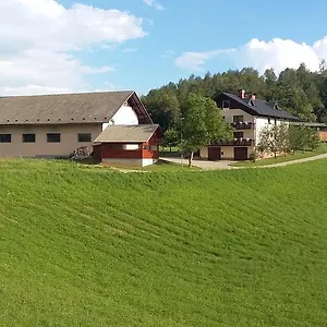 Vrtacnik Guest house